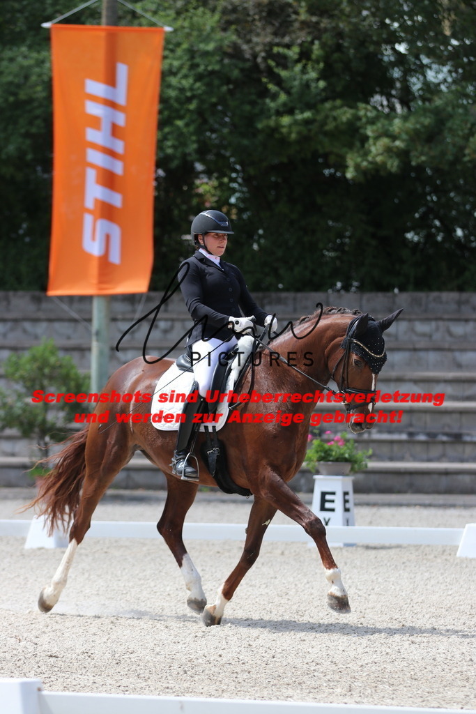 IMG_4356 | lmwpictures - Realisiert mit Pictrs.com