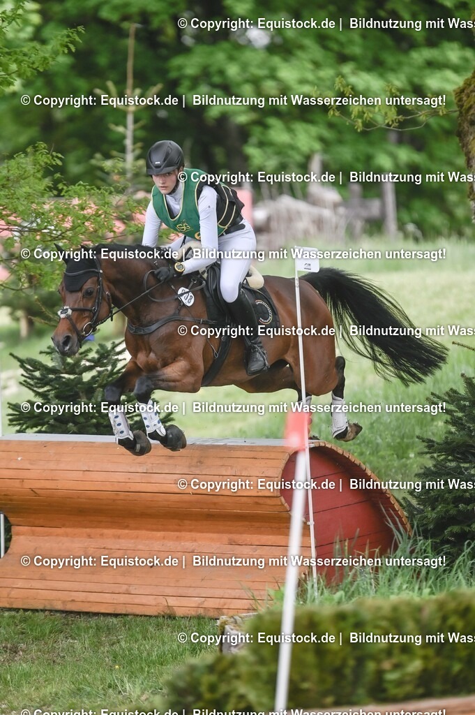 20250517_CCI1_Gelände_0624 | Foto: Thomas Hartig