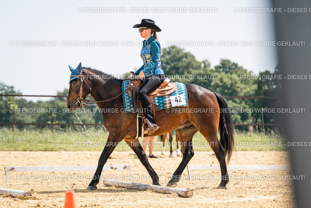 DSC00693 | Pferdegrafie