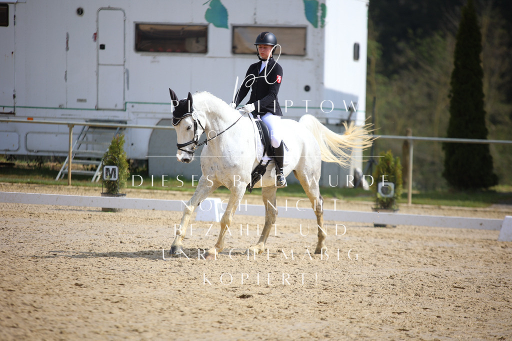 IMGT4850 | pl-fotografie