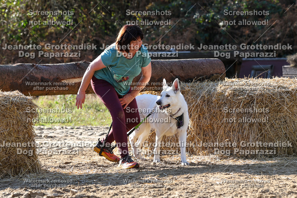 Dog Paparazzi - Strongdog 10-25-6054 | Dog Paparazzi Jeanette Grottendiek Fotografie & Videografie - Realisiert mit Pictrs.com