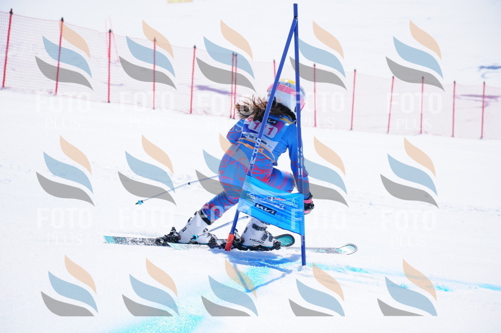 DSC_4875 | holidayphoto