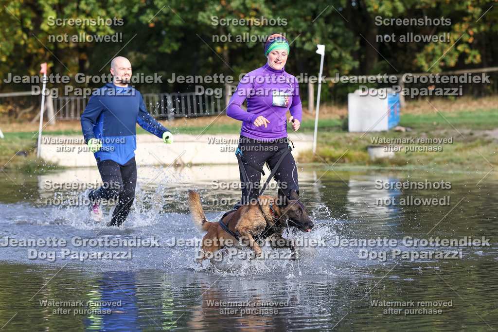 Dog Paparazzi - Strongdog 10-25-8346 | Dog Paparazzi Jeanette Grottendiek Fotografie & Videografie - Realisiert mit Pictrs.com