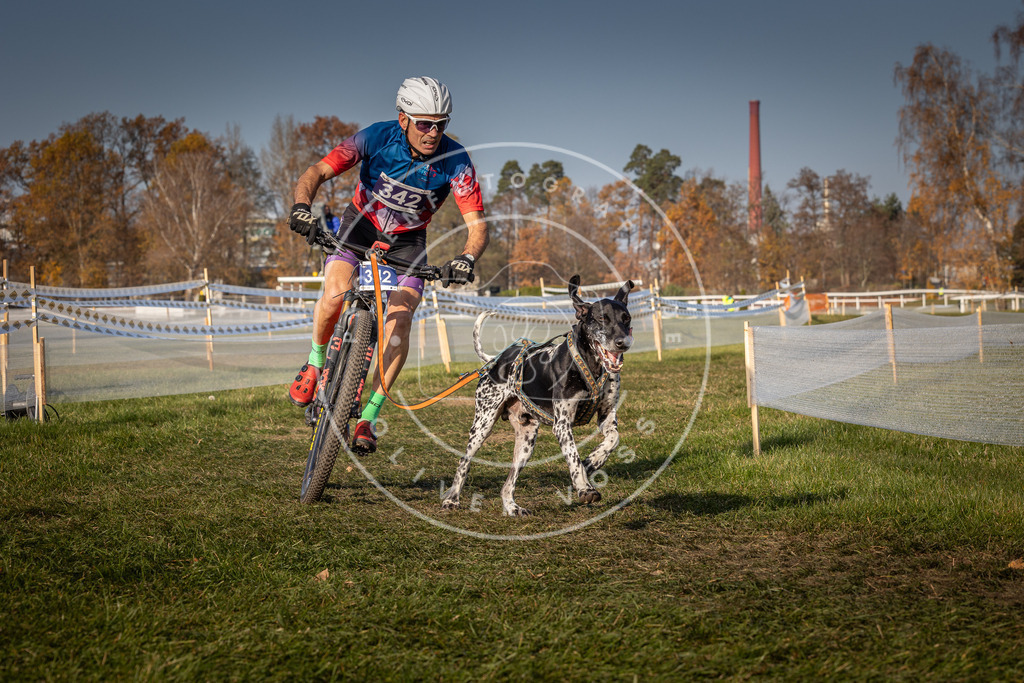CaniXpix_0L8A7759 | Hundefotografie, Tierfotograf, Pfotenfotografie, Fotoshooting Hund, Hunde Portrait, Hundesport, Hundeportraits, Heideshooting, Hunde, Sportfotograf, Hundefotograf, Turnierhundsport, THS,  - Realisiert mit Pictrs.com