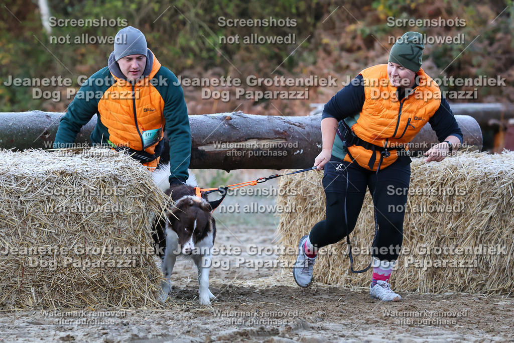Dog Paparazzi - Strongdog 10-25-316 | Dog Paparazzi Jeanette Grottendiek Fotografie & Videografie - Realisiert mit Pictrs.com