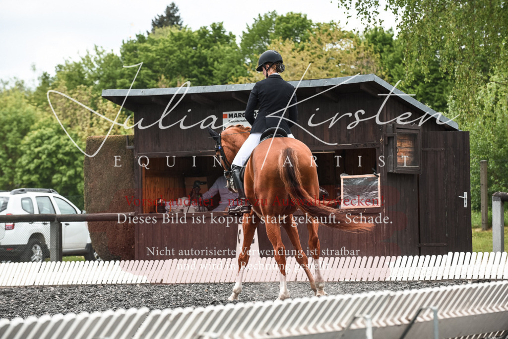 20230514_JK-Röhrsdorf-24-108 | Pferde- und Turnierfotografie in Westsachsen. Pferdeportraits, Auftragszeichnungen und intuitive Kunst.