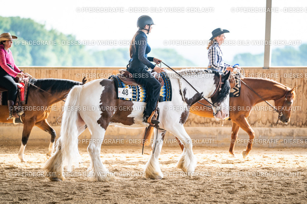 DSC08457 | Pferdegrafie