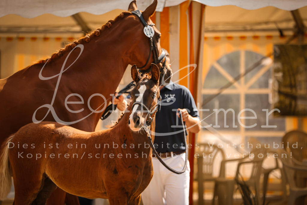 09.DoWBD00114 | Leoni Ertmer Photography - Realisiert mit Pictrs.com