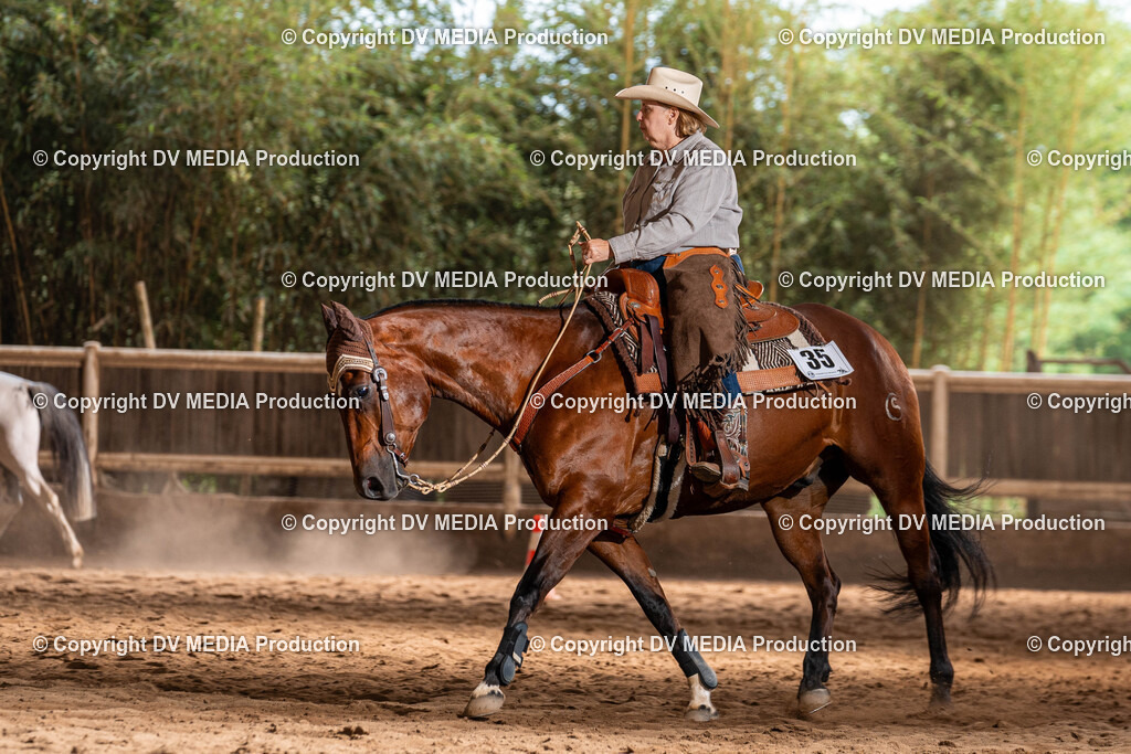 Erbach Tag 1-1083 | dv-media-shop - Realisiert mit Pictrs.com