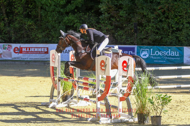 DKP42915 | Turnierfotos kaufen im Webshop von Daniel Kuhl Photography – entdecke professionelle Reitsportfotos aus Turnieren & Events. Hochwertige Turnierbilder online bestellen & sichern. Jetzt Fotos von Reitsportturnieren kaufen!