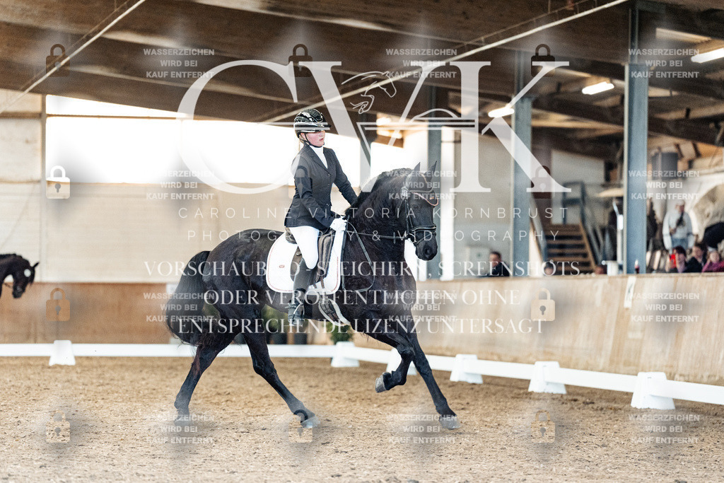 CK909777 | Turnierfotografie Pferdefotografie Trier Rheinland-Pfalz Pferdesport Reitsport Tierfotografie Sportfotografie Pferdevideo Pferdevideografie Equestrianvideography equestrianphotography  - Realized with Pictrs.com