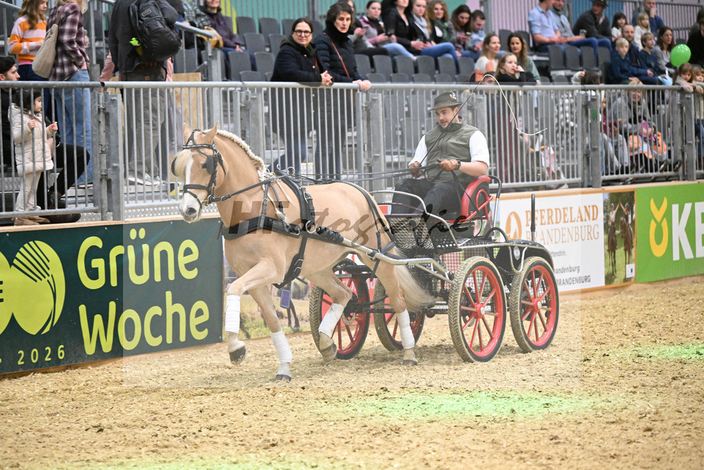 Schauprogramm_DSP Daria_1261123 | hf-fotografie - Realisiert mit Pictrs.com