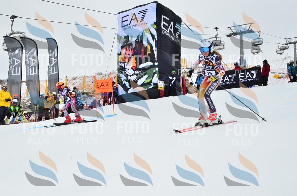 _ELE3347 | holidayphoto