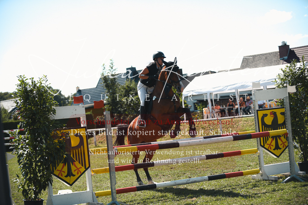 DSC_7104 | Pferde- und Turnierfotografie in Westsachsen. Pferdeportraits, Auftragszeichnungen und intuitive Kunst.