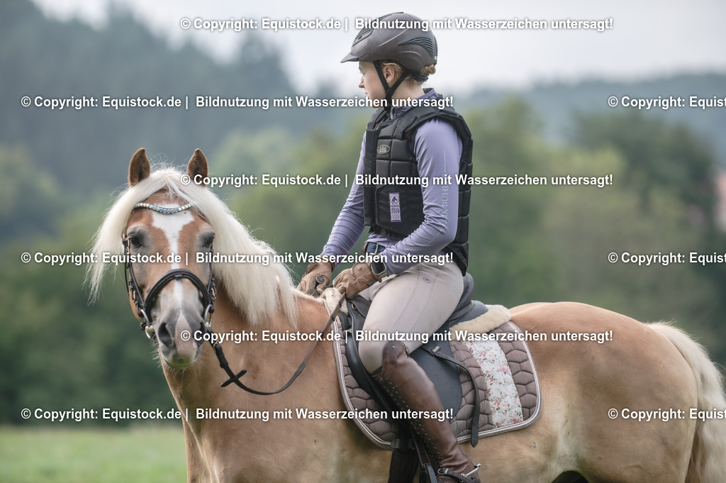 20250726_Vielseitigkeitslehrgang-Marbach_0074 | Foto: Thomas Hartig