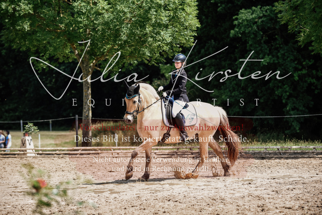 DSC_1688 | Pferde- und Turnierfotografie in Westsachsen. Pferdeportraits, Auftragszeichnungen und intuitive Kunst.