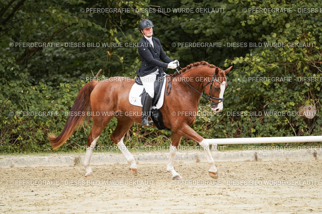 DSC00303 | Pferdegrafie