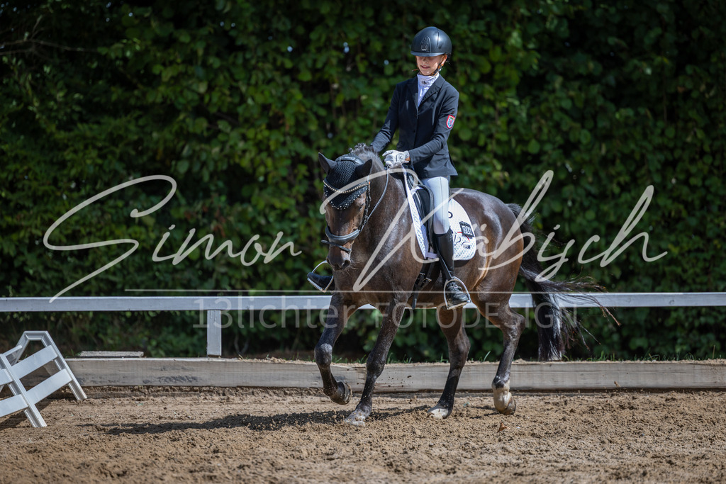 20260905-_3LI8323 | Tierfotografie Pferde, Hunde, Katzen, Haustiere.
Turnierfotografie Reitturniere, Reiten, Springreiten, Dressur in Hanau, dem Main-Kinzig-Kreis und dem Rhein-Main- Gebiet um Frankfurt
