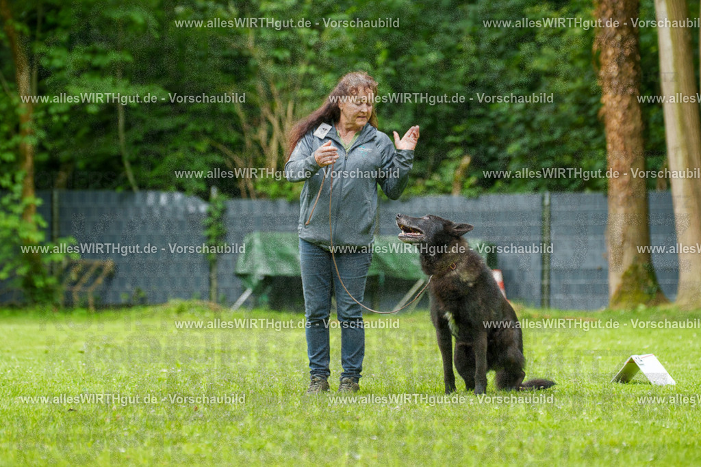 @allesWIRTHgut_Tierfotografie - www.allesWIRTHgut.de - 135628-7R500210 | Professionelle Tierfotografie in Mönchengladbach von Daniel Wirth (allesWIRTHgut). Liebevolle & natürliche Bilder von Hunden & Katzen für unvergessliche Erinnerungen.