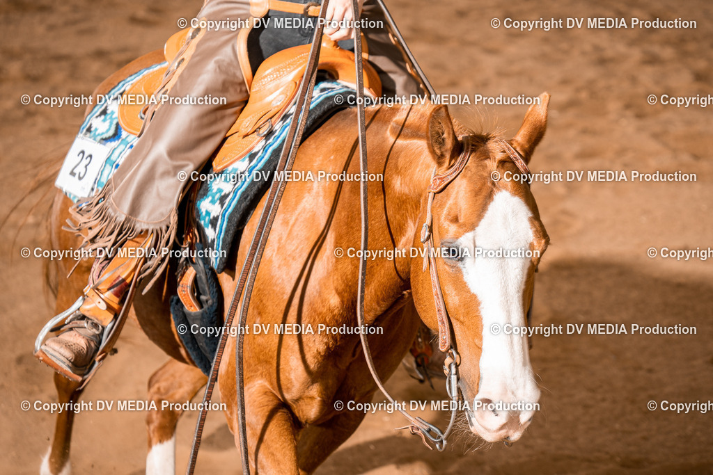 BA400762 | dv-media-shop - Realisiert mit Pictrs.com