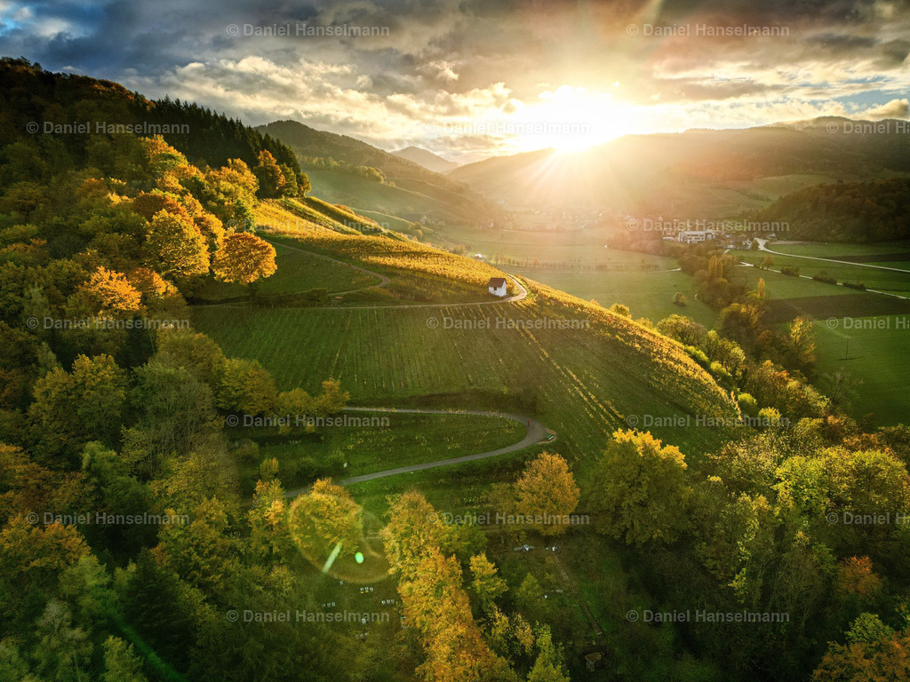 6E450741-211E-4D90-B08B-6A03B5FC6EF7 | Hier finden Sie Poster, Leinwandfotos sowie viele weitere Fotoprodukte mit Motiven aus dem Schwarzwald, aus Freiburg und dem Kaiserstuhl zum Download und zum Bestellen.  - Realisiert mit Pictrs.com