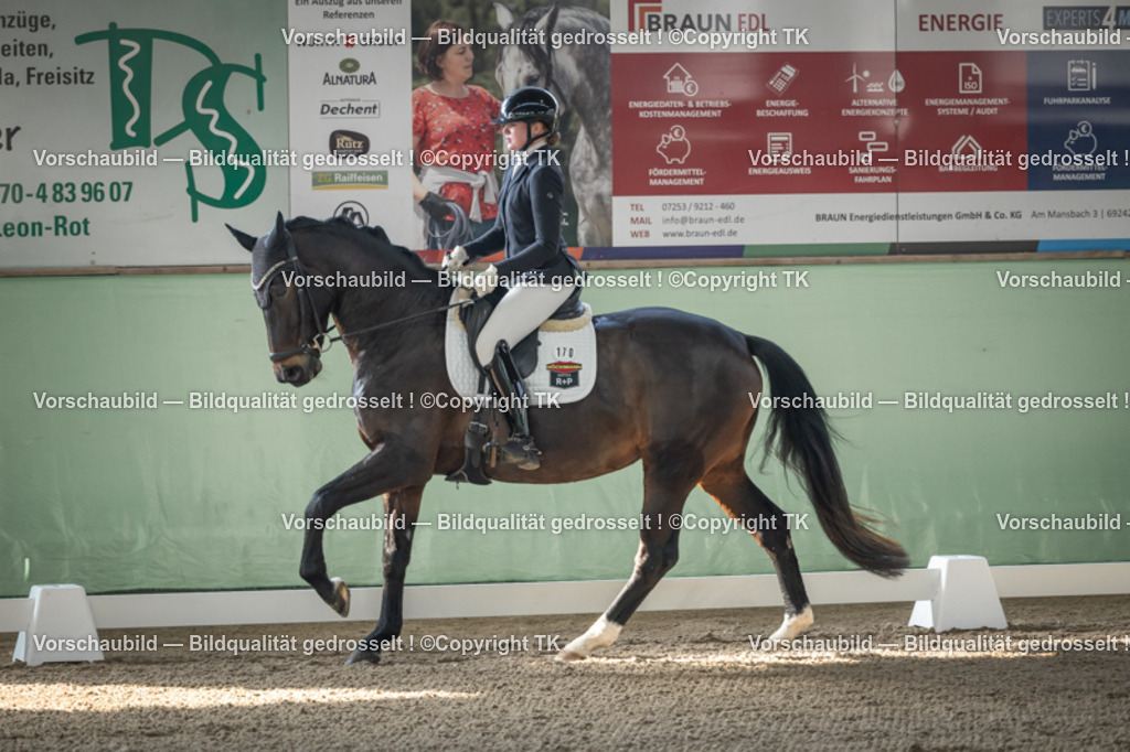 _D5A0488 | Emotionale Pferde- & People-Fotografie rund um Heidelberg, Leimen & Umgebung. Natürliche Fotos von Pferd, Mensch & Familie. Jetzt Termin sichern!