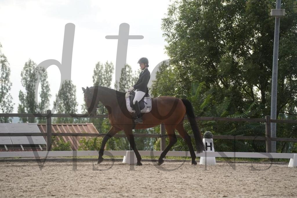 tgbhsamstag (2745) | d.tail Visions - Shop - Realisiert mit Pictrs.com