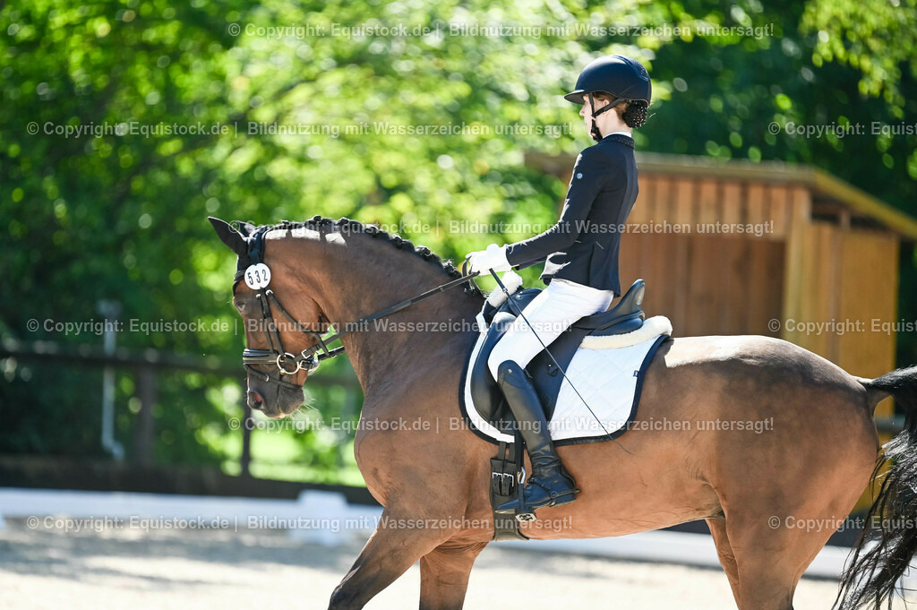 20230908_06_Dressur-L-Trense_0324 | equistock