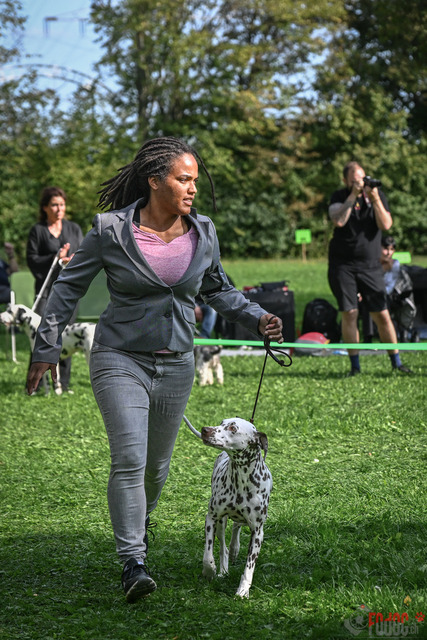 Dalamtinerausstellung RGA Mainz 2023 | Dalamtinerausstellung RGA Mainz 2023. 30.09.2023 Foto: Leo Wyden