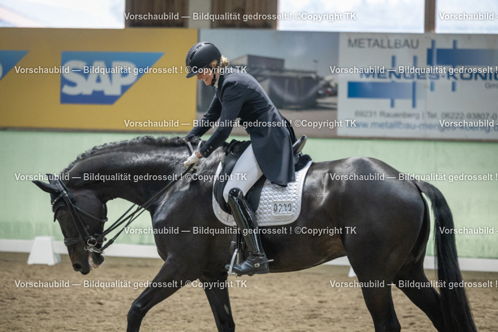 _D5A6939 | Emotionale Pferde- & People-Fotografie rund um Heidelberg, Leimen & Umgebung. Natürliche Fotos von Pferd, Mensch & Familie. Jetzt Termin sichern!