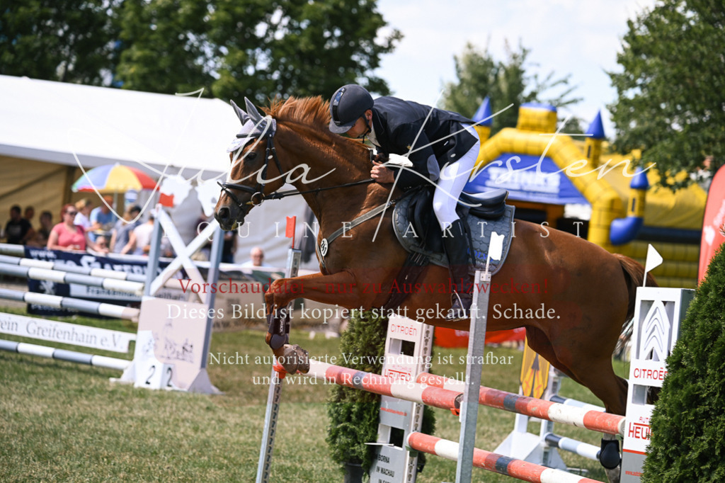 DSC_0376 | Pferde- und Turnierfotografie in Westsachsen. Pferdeportraits, Auftragszeichnungen und intuitive Kunst.