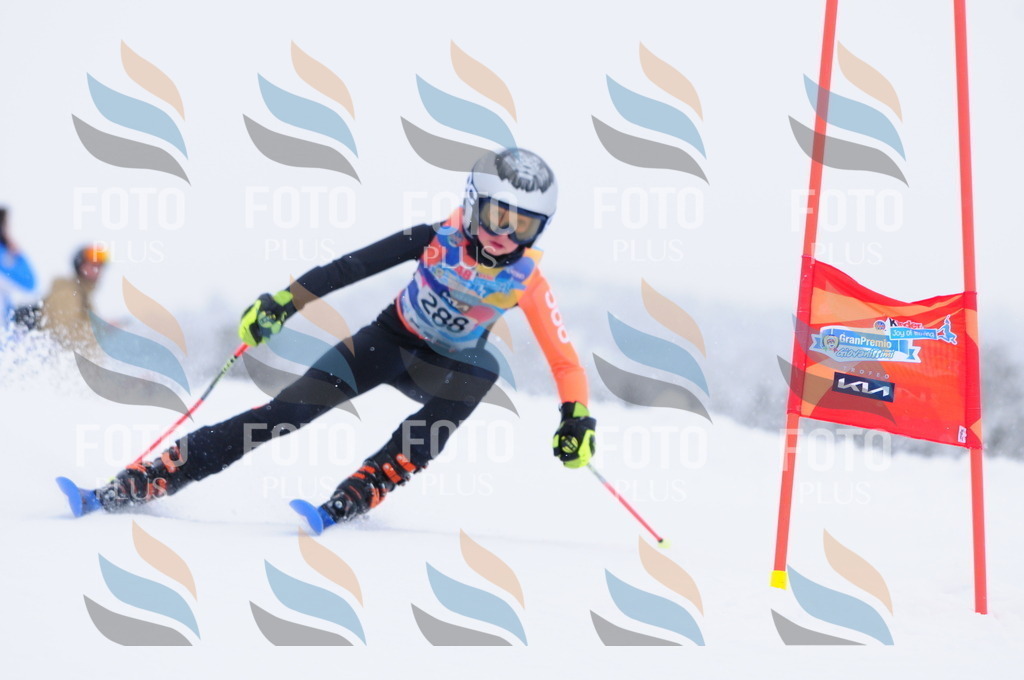 C3031 | holidayphoto