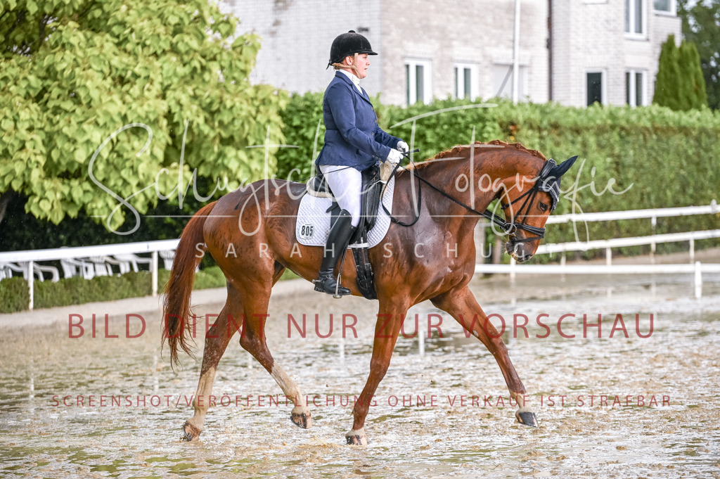 Schugtsche-Aluta25-54.Dressurprf.L1Trense-36 | Schugtsche Fotografie - Realisiert mit Pictrs.com