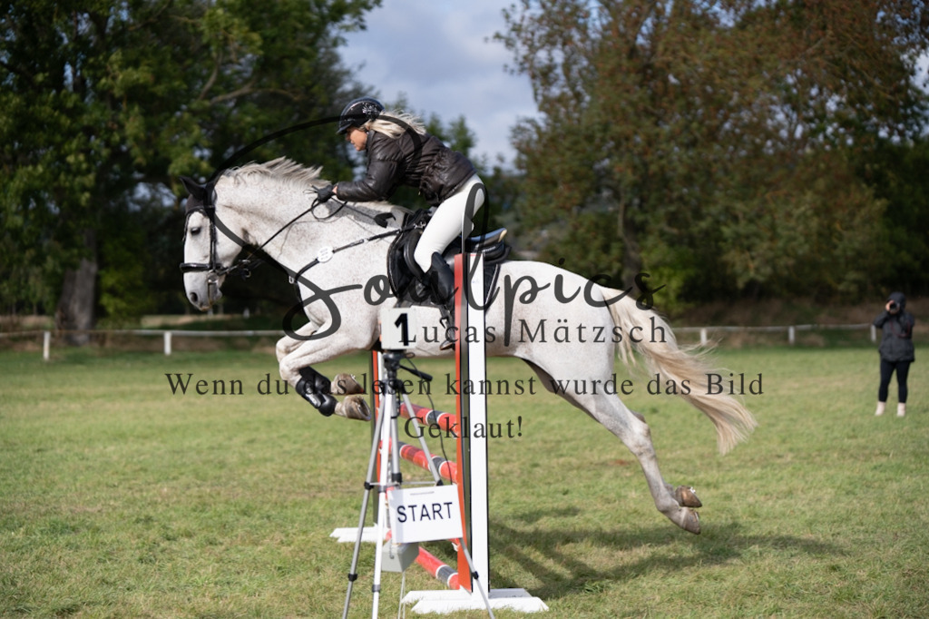 A7V06880 | Pferdefotograf