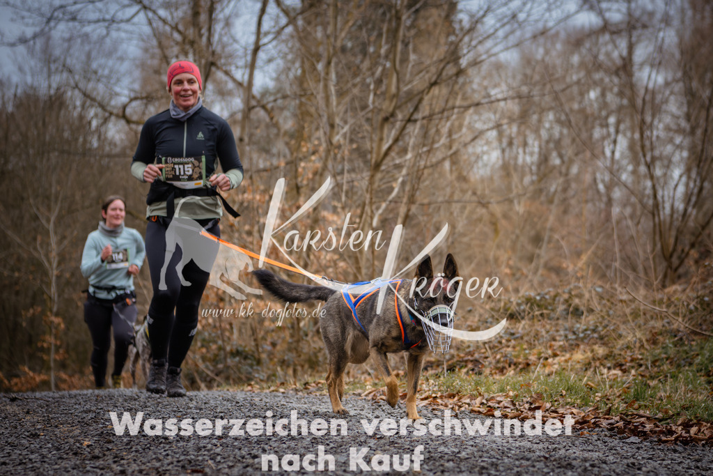 1045_ZZ96982 | kk-dogfotos