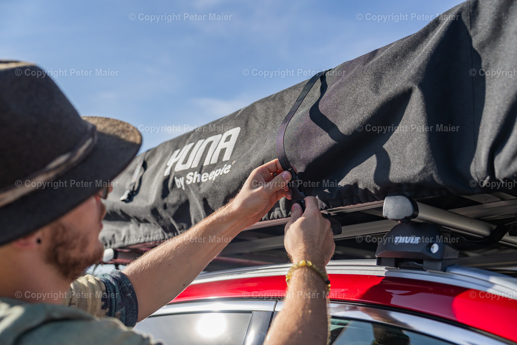 Inter_Trade_2023-2032 | piet_flosse