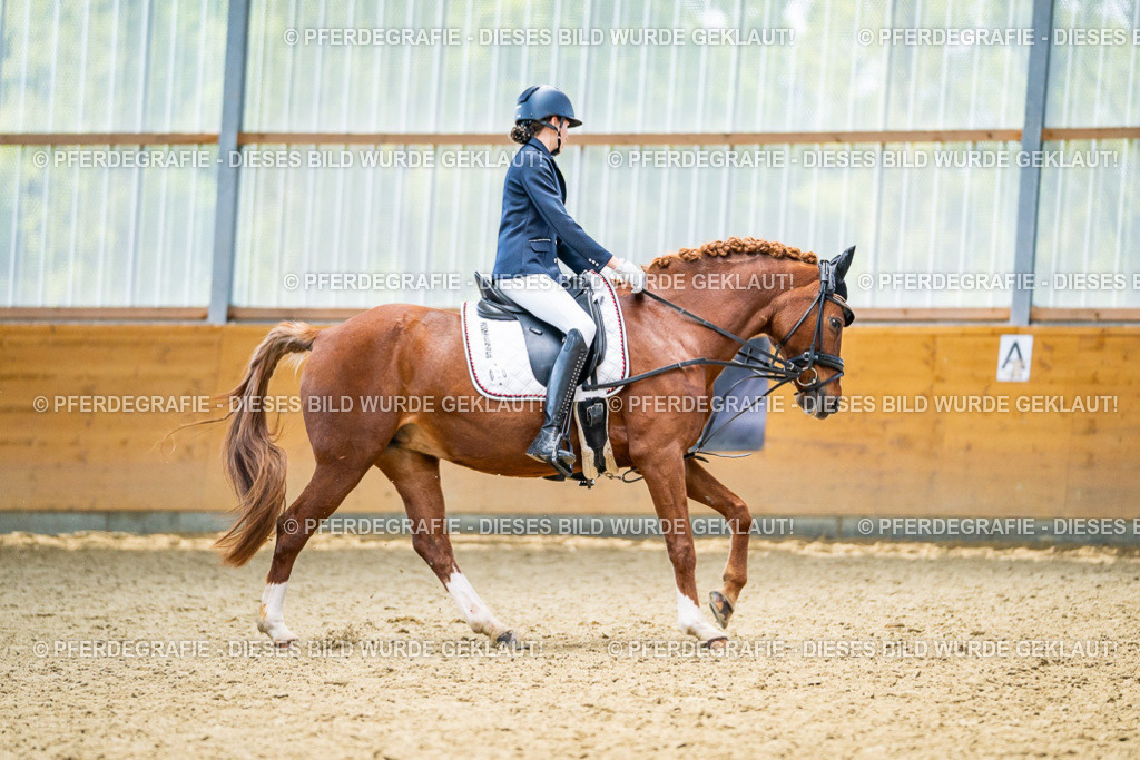 DSC04596 | Pferdegrafie