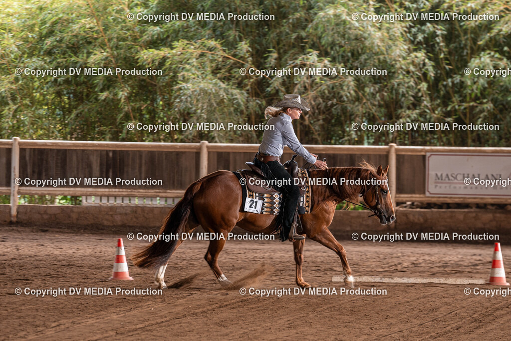 Erbach Tag 3-902 | dv-media-shop - Realisiert mit Pictrs.com