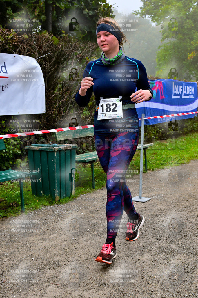 Z8N_2311 | la-psv - Realisiert mit Pictrs.com