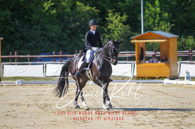 DKP42579 | Turniersportfotografie; Pferdefotografie; Dressurfotografie