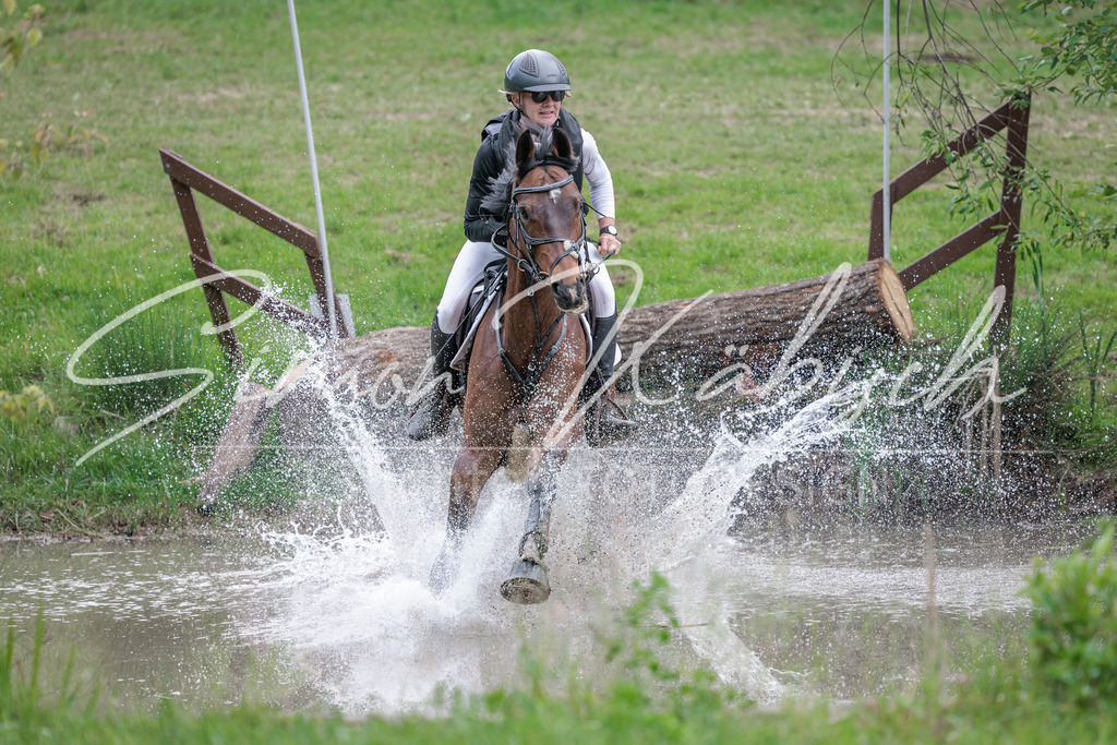20260523-_3LI9683 | Tierfotografie Pferde, Hunde, Katzen, Haustiere.
Turnierfotografie Reitturniere, Reiten, Springreiten, Dressur in Hanau, dem Main-Kinzig-Kreis und dem Rhein-Main- Gebiet um Frankfurt