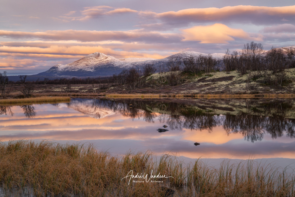 Morgenstimmung im Dovrefjell | Andre Wandrei - Nature Artworx - Realisiert mit Pictrs.com