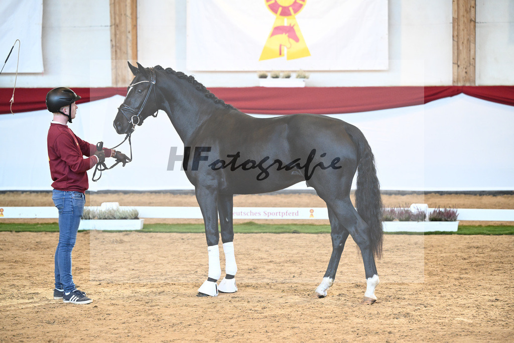 Kat-Nr. 39 Iron x Fuerst Romancier_Gerdes_47240959 | hf-fotografie - Realizzato con Pictrs.com