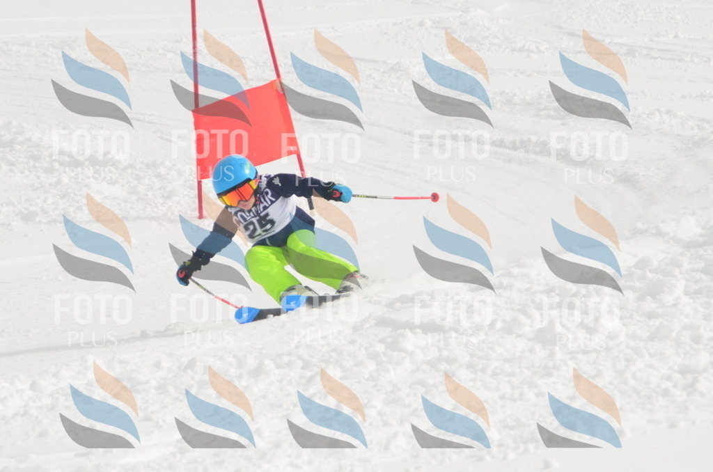 A5207 | holidayphoto