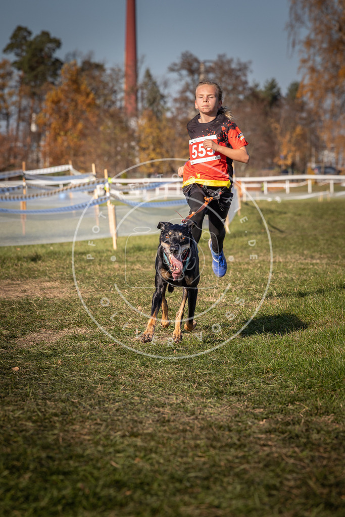 CaniXpix_0L8A7751 | Hundefotografie, Tierfotograf, Pfotenfotografie, Fotoshooting Hund, Hunde Portrait, Hundesport, Hundeportraits, Heideshooting, Hunde, Sportfotograf, Hundefotograf, Turnierhundsport, THS,  - Realisiert mit Pictrs.com