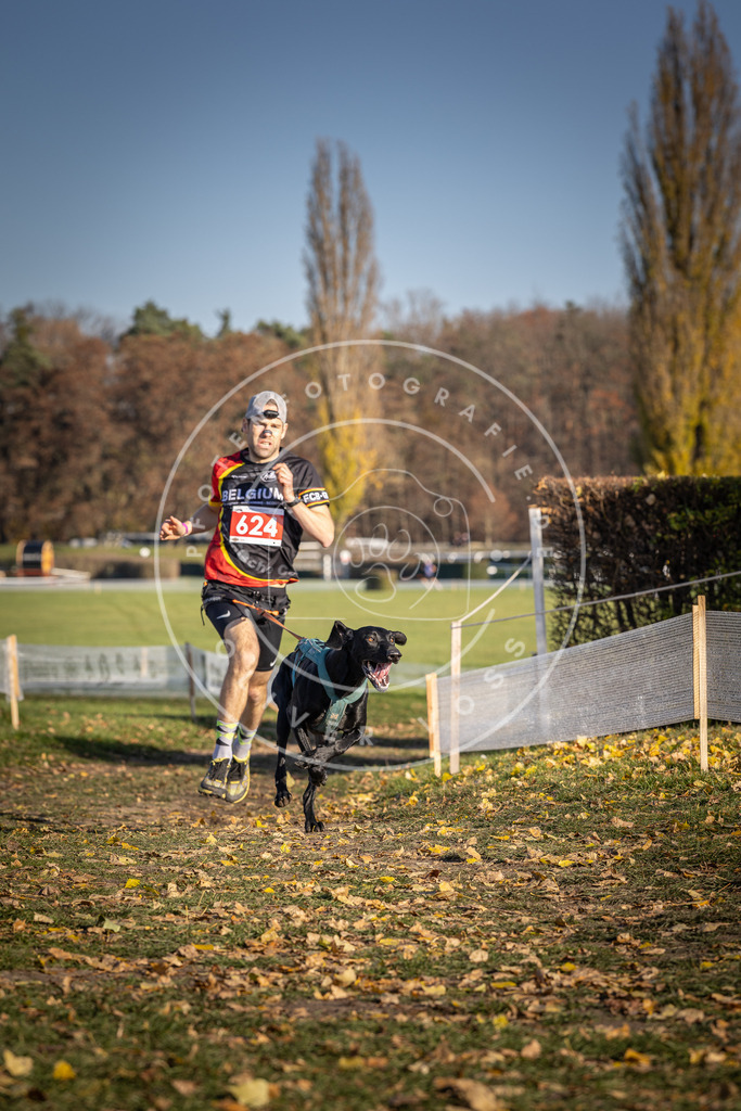 CaniXpix_DV3A9972 | Hundefotografie, Tierfotograf, Pfotenfotografie, Fotoshooting Hund, Hunde Portrait, Hundesport, Hundeportraits, Heideshooting, Hunde, Sportfotograf, Hundefotograf, Turnierhundsport, THS,  - Realisiert mit Pictrs.com
