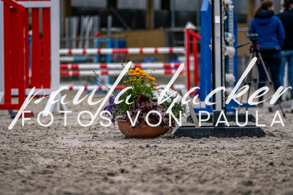 IMG_6284 | Erleben Sie dynamische Sport- und emotionale Tierfotografie in Süddeutschland mit Fotos von Paula. Spezialisiert auf Pferde- und Hundefotografie sowie Sportevents. Kontaktieren Sie mich für einzigartige und ausdrucksstarke Bilder Ihrer besonderen Momente. - Realisiert mit Pictrs.com