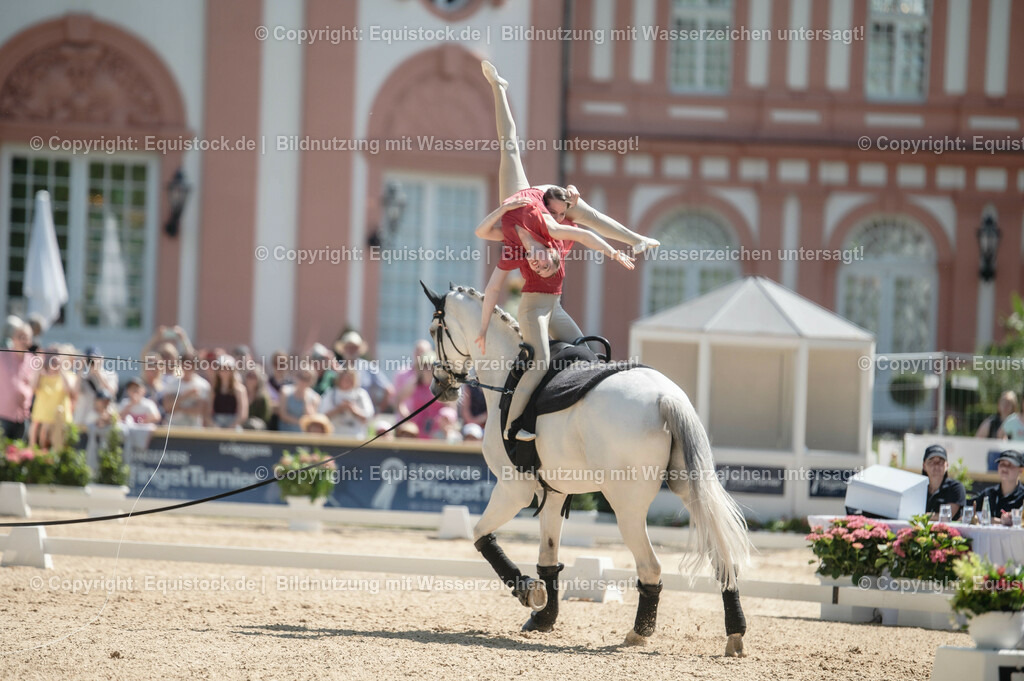 20230528_Voltigieren_NASPA_0329 | equistock