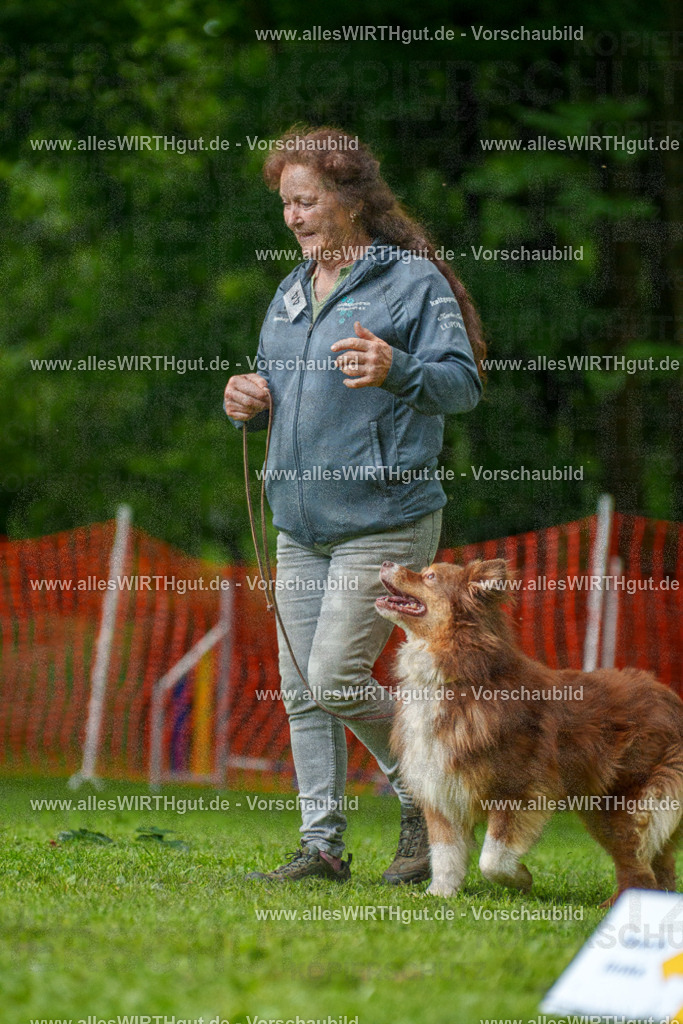 @allesWIRTHgut_Tierfotografie - www.allesWIRTHgut.de - 7R505083 | Professionelle Tierfotografie in Mönchengladbach von Daniel Wirth (allesWIRTHgut). Liebevolle & natürliche Bilder von Hunden & Katzen für unvergessliche Erinnerungen.