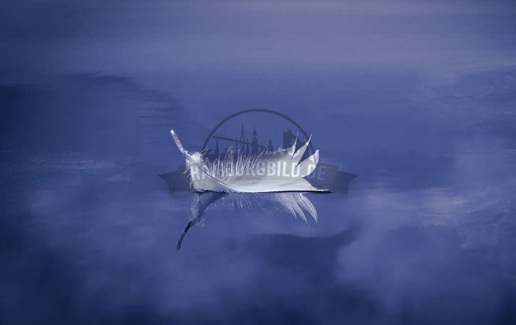 stativkunst-347 | Exklusive Hamburg collagen, tolle Segelbilder und viele weitere tolle Motive auf Leinwand, Poster, Alu-Dibond, u.v.m. findet Ihr bei uns auf hamburgbild.de. Findet Euer Wandbild für Euer Zuhause, Büro oder die  Praxis…. - Realisiert mit Pictrs.com